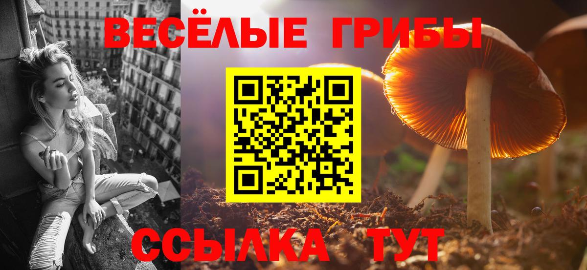 Псилоцибиновые грибы прущие грибы  Галлюциногенные грибы Magic Shrooms  Вход с VPN  Кирово-Чепецк 